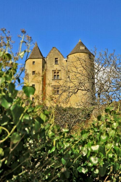 Petite Maison En Pierre Au Coeur Du Perigord Noir Salignac Eyvigues Exterior foto